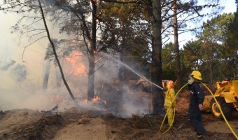 DEFENSA CIVIL DE VILLA GESELL IMPULSA UNA CAMPAA DE PREVENCIN DE INCENDIOS FORESTALES